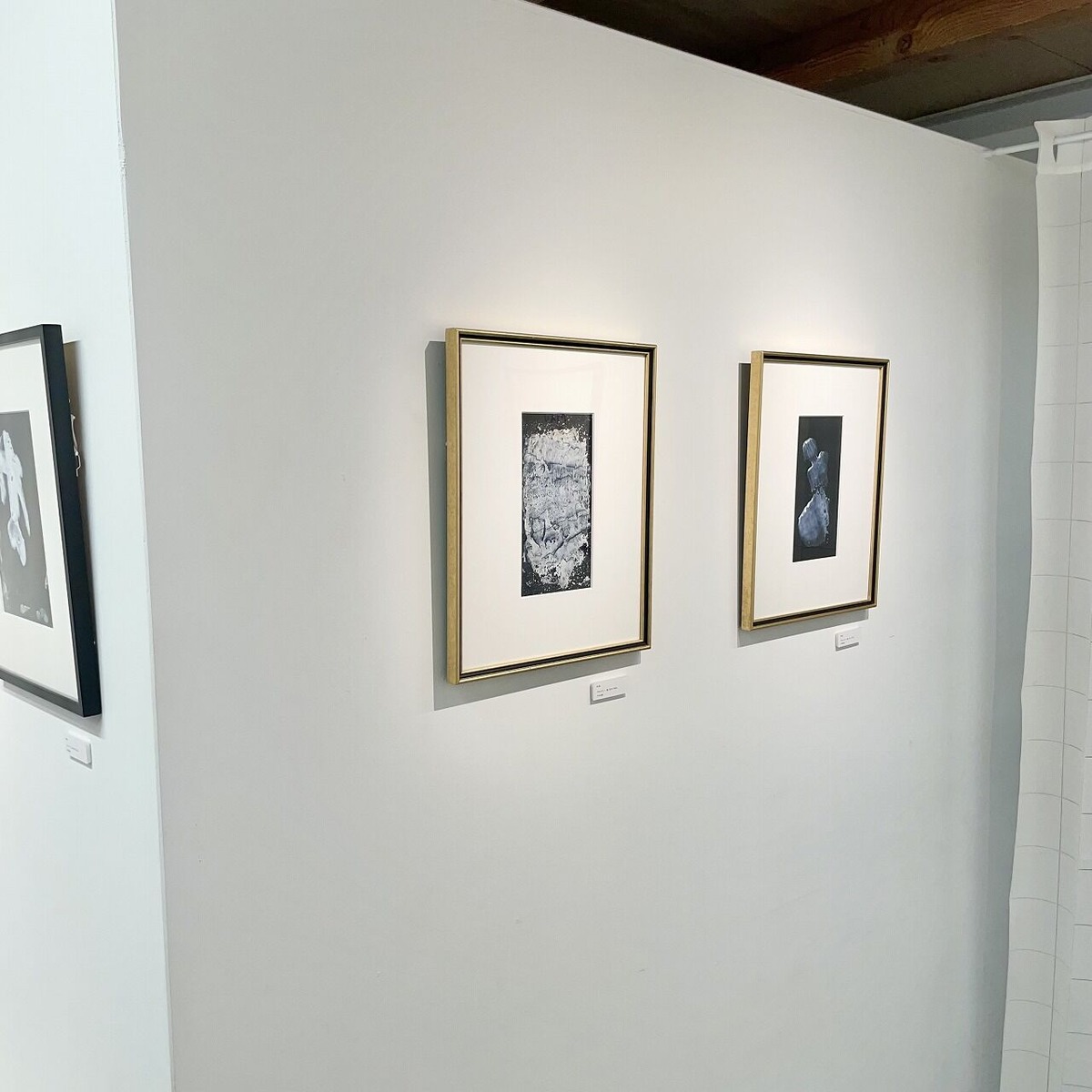 Nii Fine Arts (3)