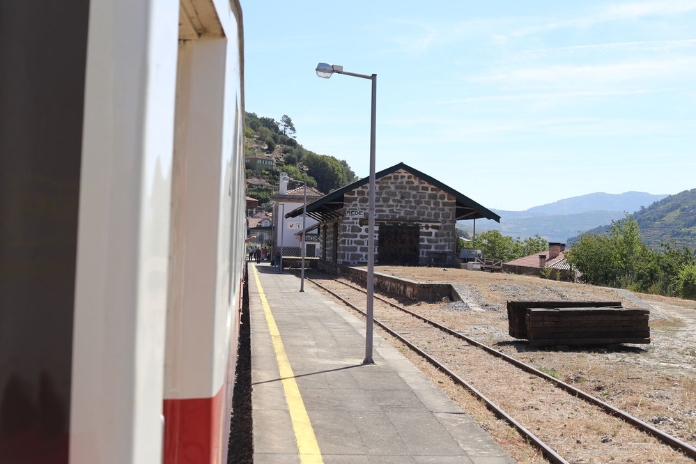 ��ƣ��¿�Υ��å����������ΤΥե������ɡ��ݥݥ�ȥ���ǻפ����ȡݡ���15��