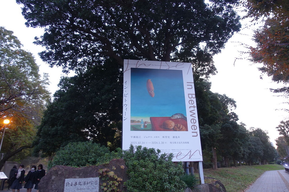 DSC02453