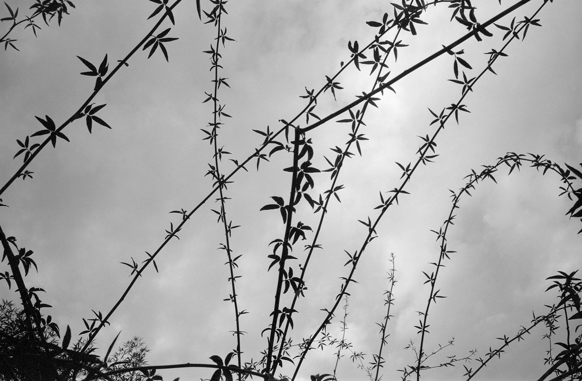 ���ӵ����Υ��å�����TOKYO NETURE PHOTOGRAPHY�� ��3��