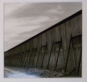 RIMG0464