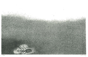 14_insect