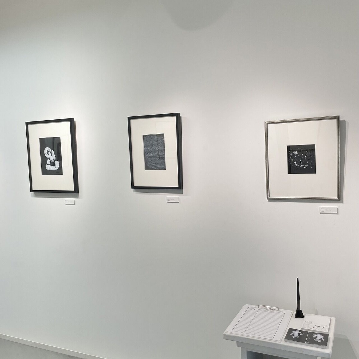 Nii Fine Arts (5)