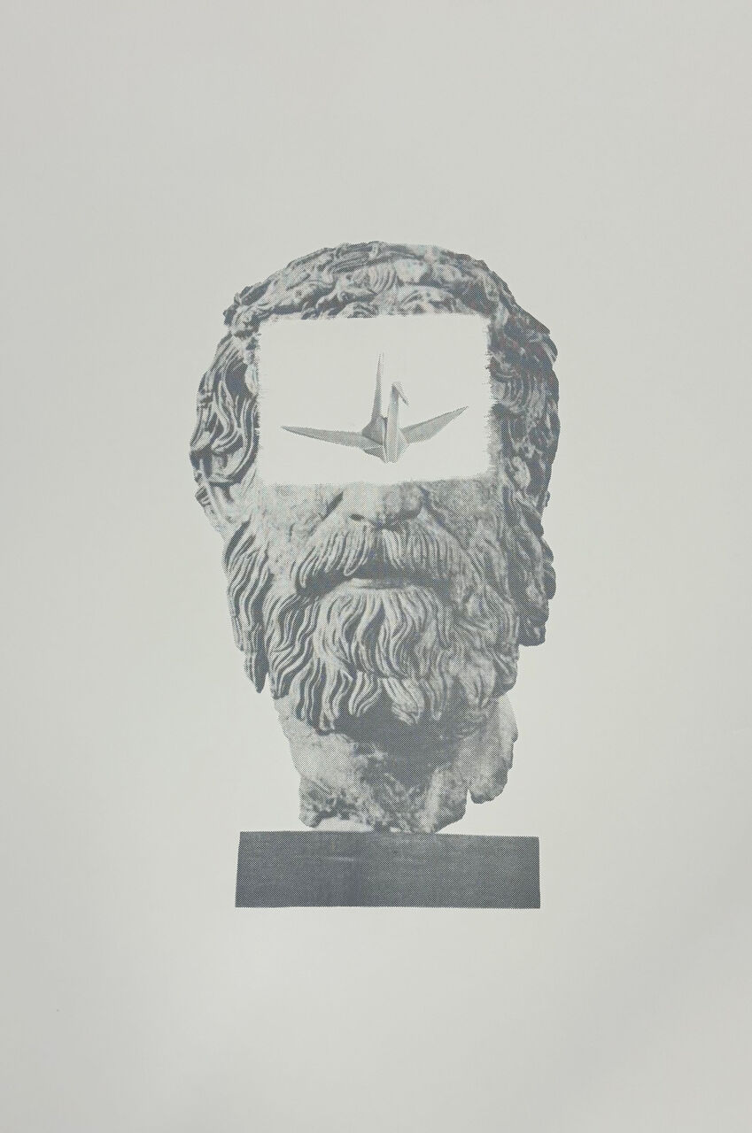 ������¤