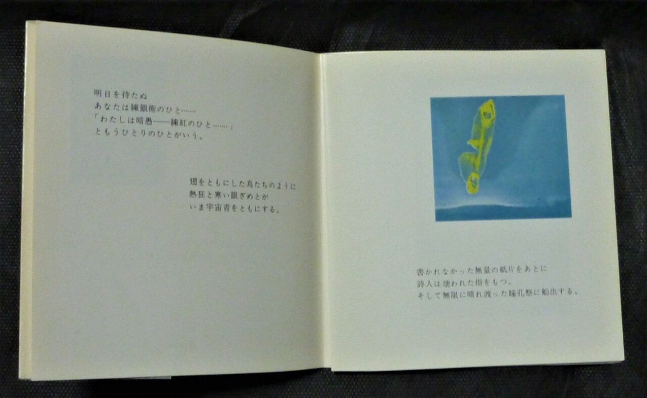 ���ǣ�.Ʊ�塢���Ƥΰ���