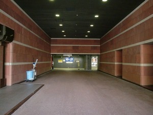 CIMG7252