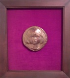 ���������꡼��