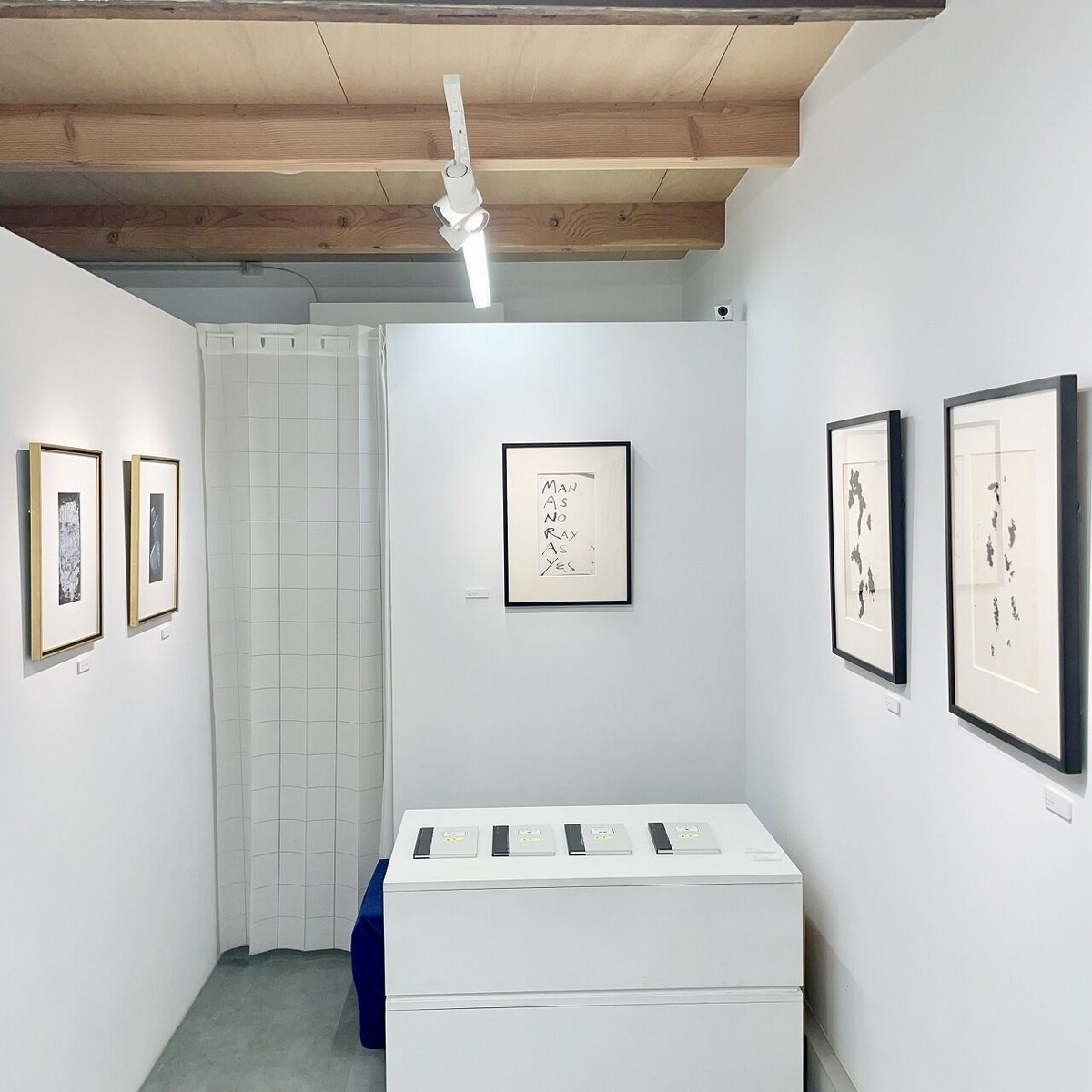 Nii Fine Arts (7)