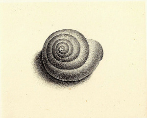 04_kai_3