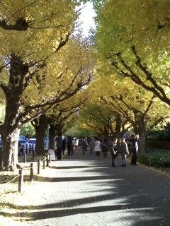 20131130_2