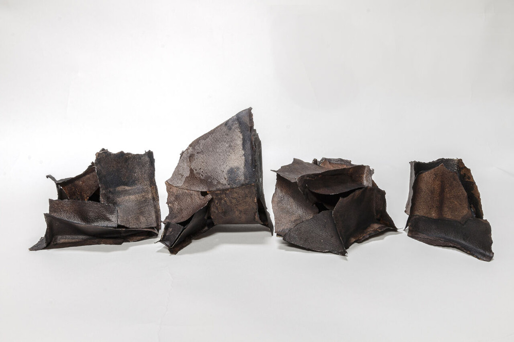 ��ƣ����־����ʪ��2023��̿̾����������Ϻ�ؤΥ��ޡ������11��3����11�������̵��