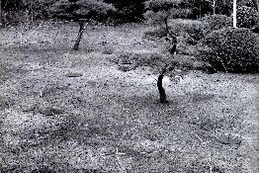 10_1