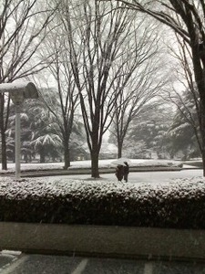 P2013_0114_110734