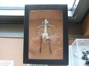 DSCF8255_600