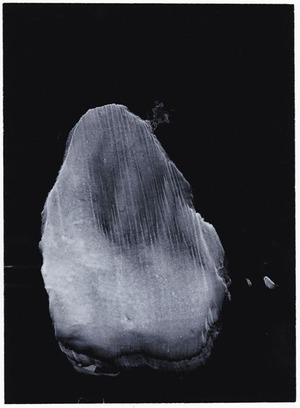 48_III-35