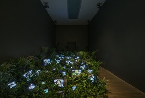 paik1
