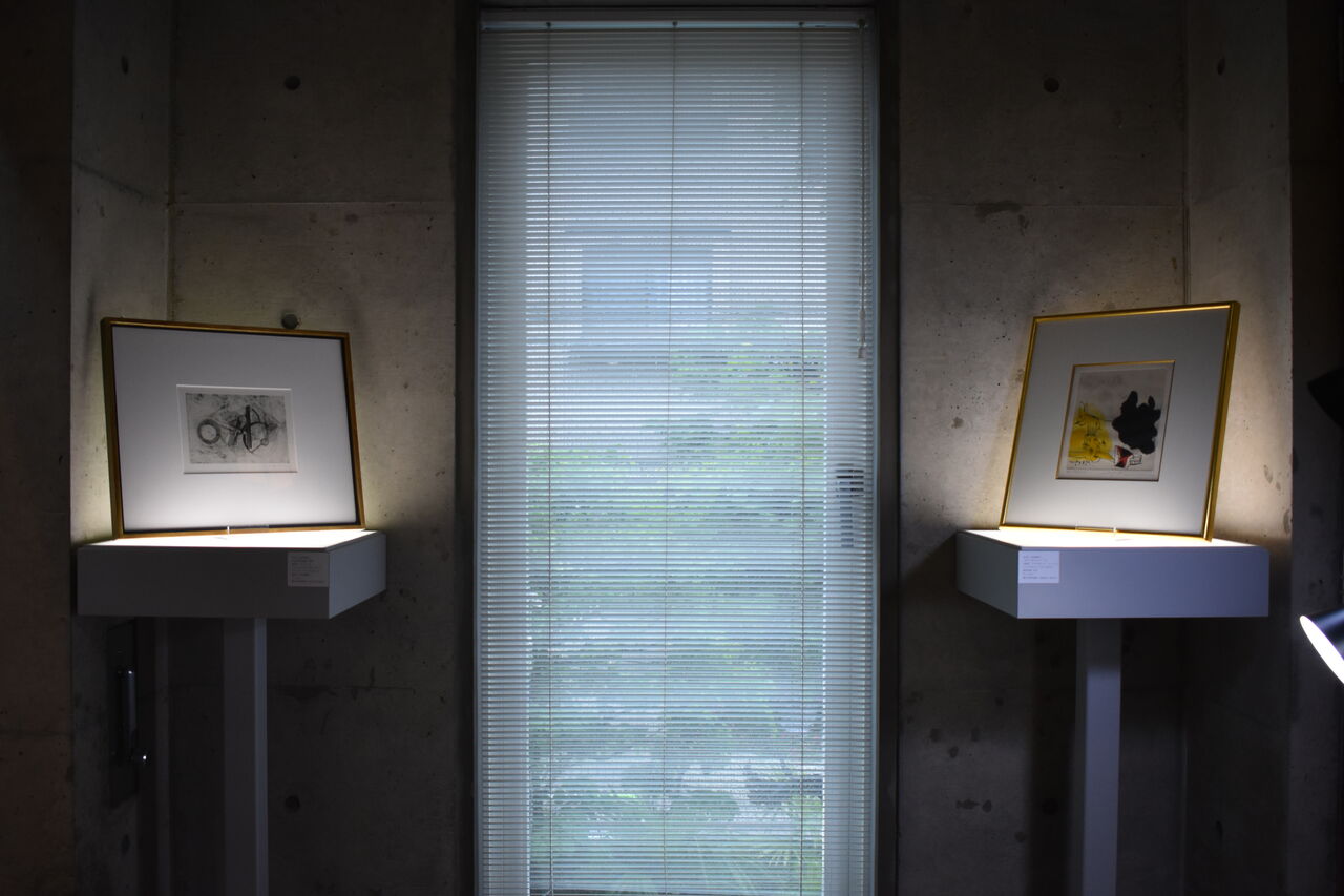 ���쥯�����Ÿ3 (6)