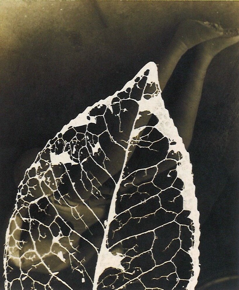 fig2
