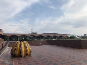 IMG_7524