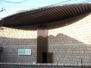 ��޹���Ѵ�20110401