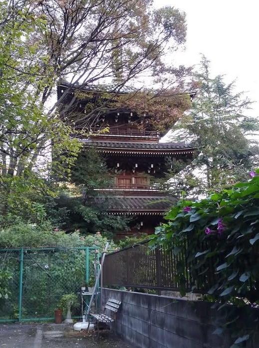 ����ο��Υե��ȥ��å����֥����������ɴ�ʡ���10������