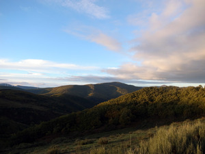 ˧�����Ϻ�Υ��å�����El Camino�ʥ��롦���ߡ��Ρ� �ͤ��⤤������ƥ��������ǡ�����ݥ��ơ������ϩ1600km����26��