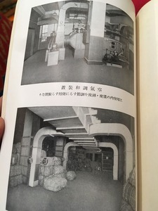 写真6