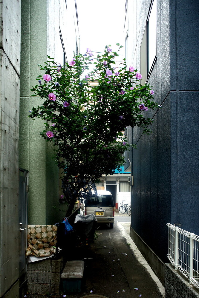 ph9-6V7A7822-z