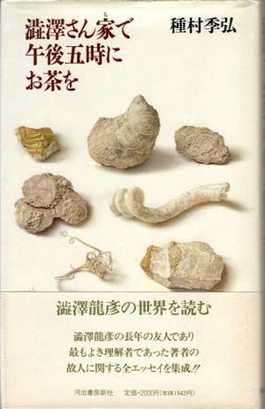 ���莾�������갎��Ꭶ��������掺�����Ꭻ��길��