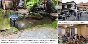 collaj_5