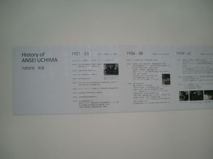 CIMG6006