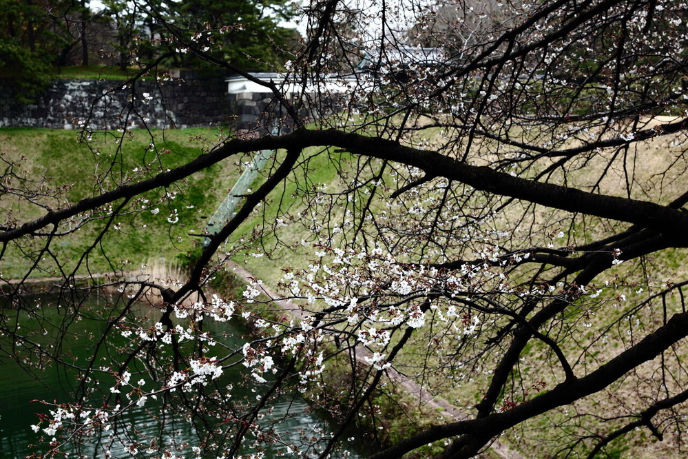 ph2-6V7A0514-p