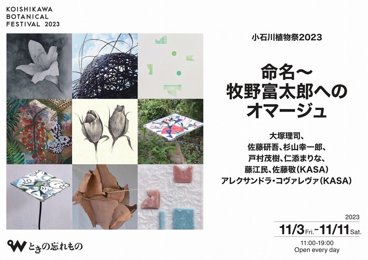 57_koishikawa_表面_s