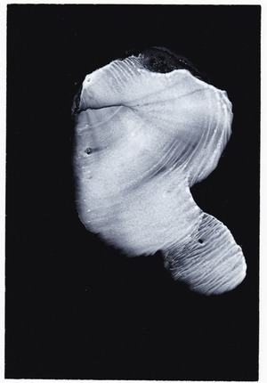 23_III-26