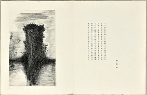 PL.11