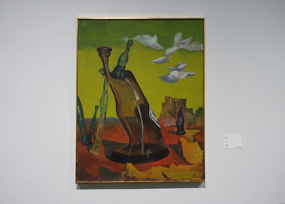DSC02504