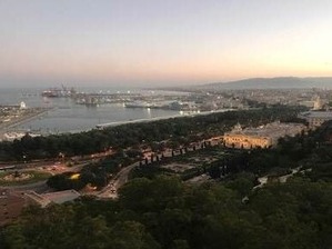 ����ʸ�ҡ�from Spain�����Τ�̴��������ʪŸ��