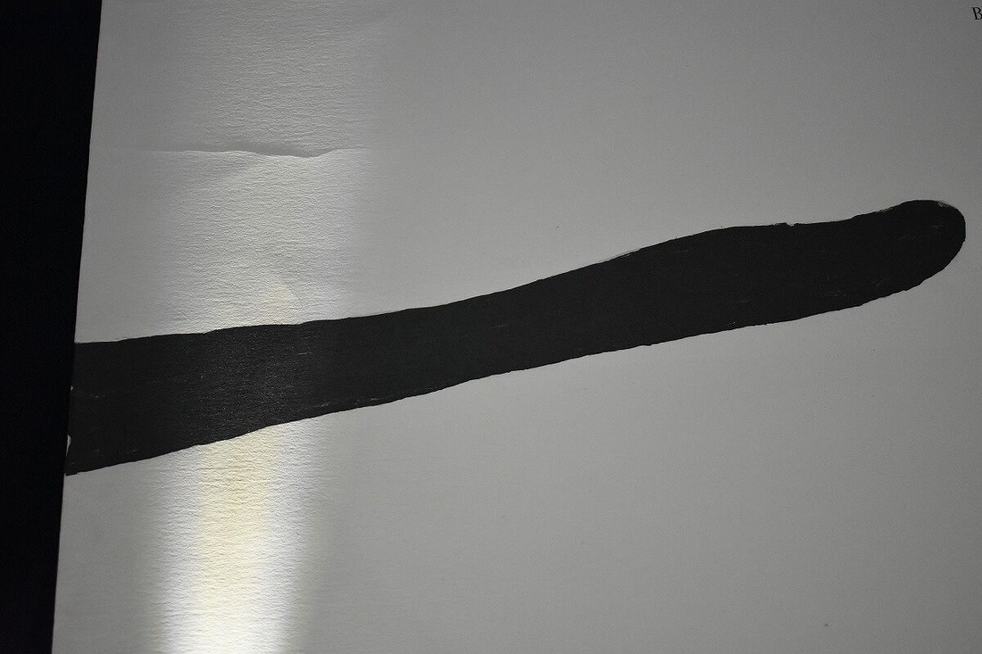 s-s-AAA_0998