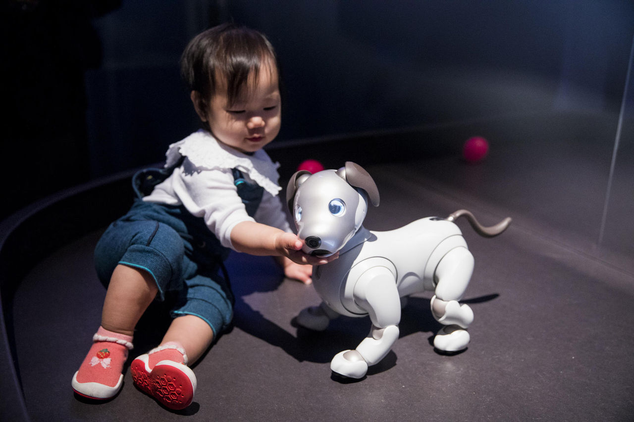 20190726_aibo