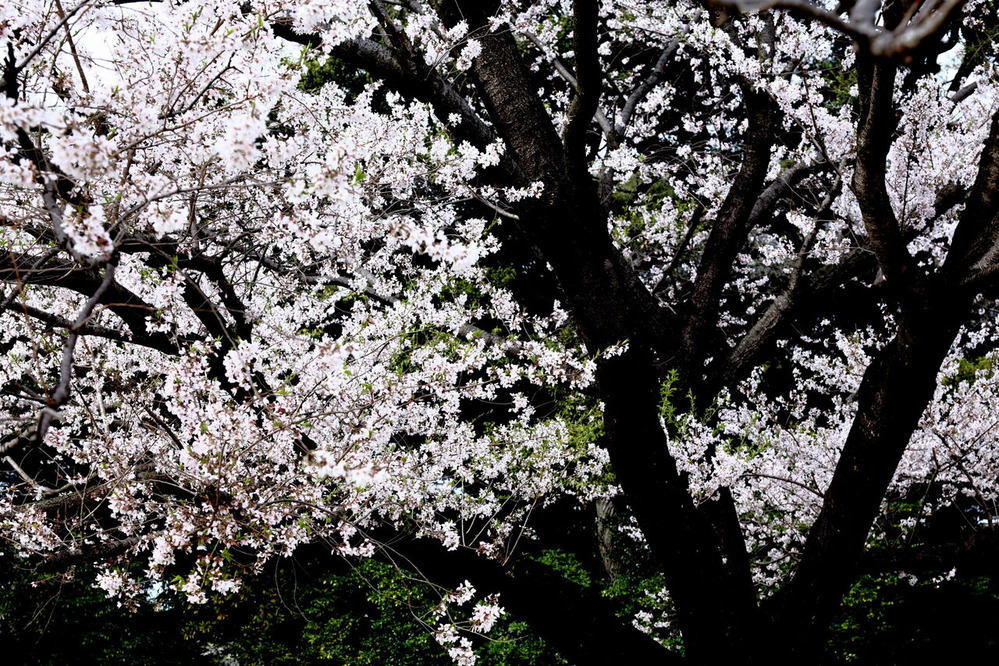 ph19-6V7A0857-d
