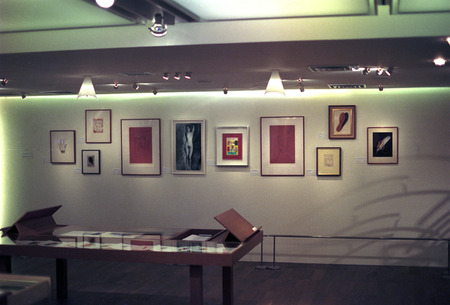 manray21-13