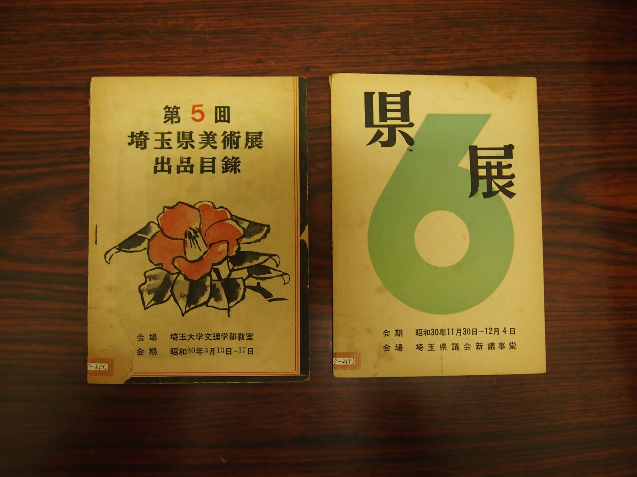 DVD 美味しんぼ 全22枚・特別版 全2枚 24枚セット 雁屋哲 花咲アキラ