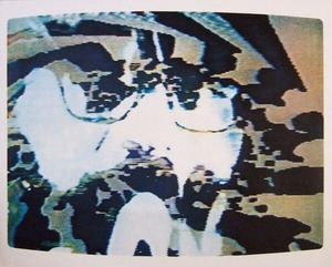 paik_04_Ginsberg