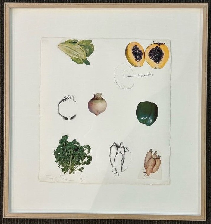 8.���ࡦ������ Vegetables VIII