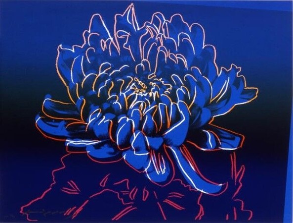 warhol_04_kiku-1 (1)