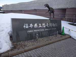 DSC00210