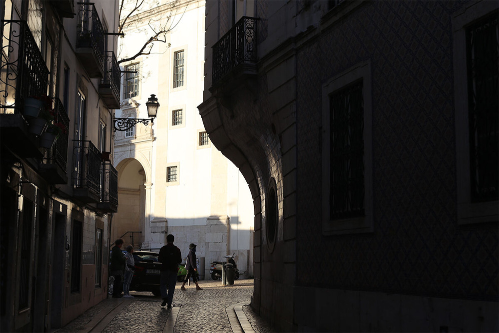 ��ƣ��¿�Υ��å����������ΤΥե������ɡ��ݥݥ�ȥ���ǻפ����ȡݡ���20��