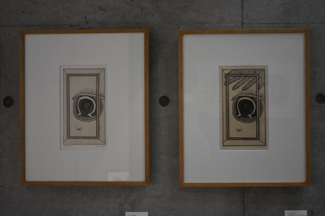 ���쥯�����Ÿ3 (22)