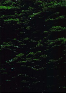 63