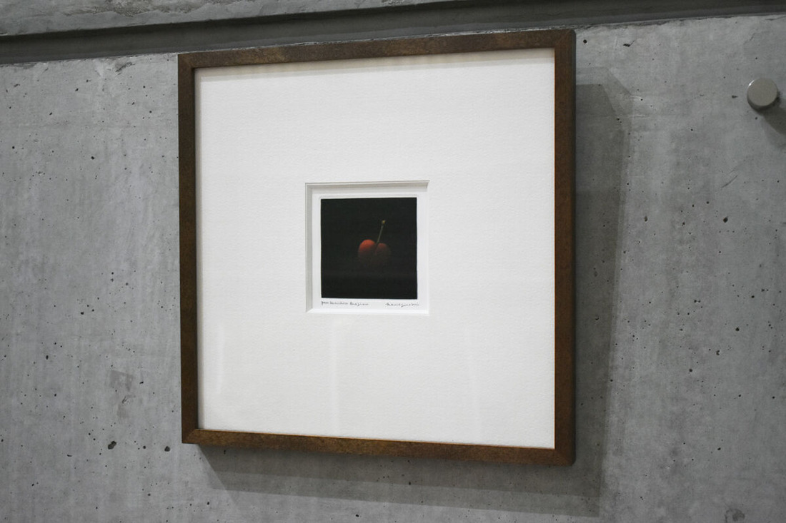 AAA_0619